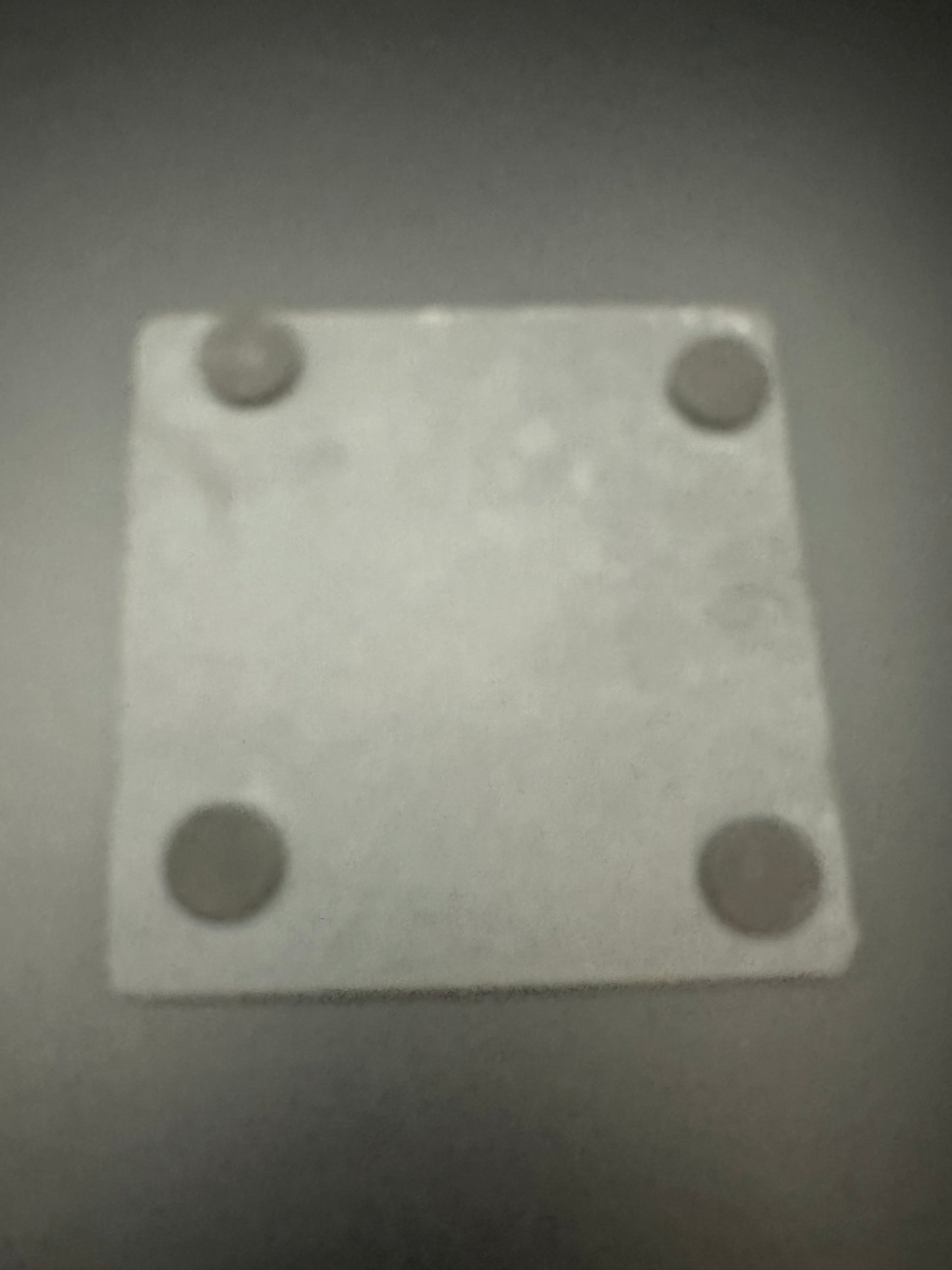 Schieferuntersetzer "Hirsch" Heimatliebe