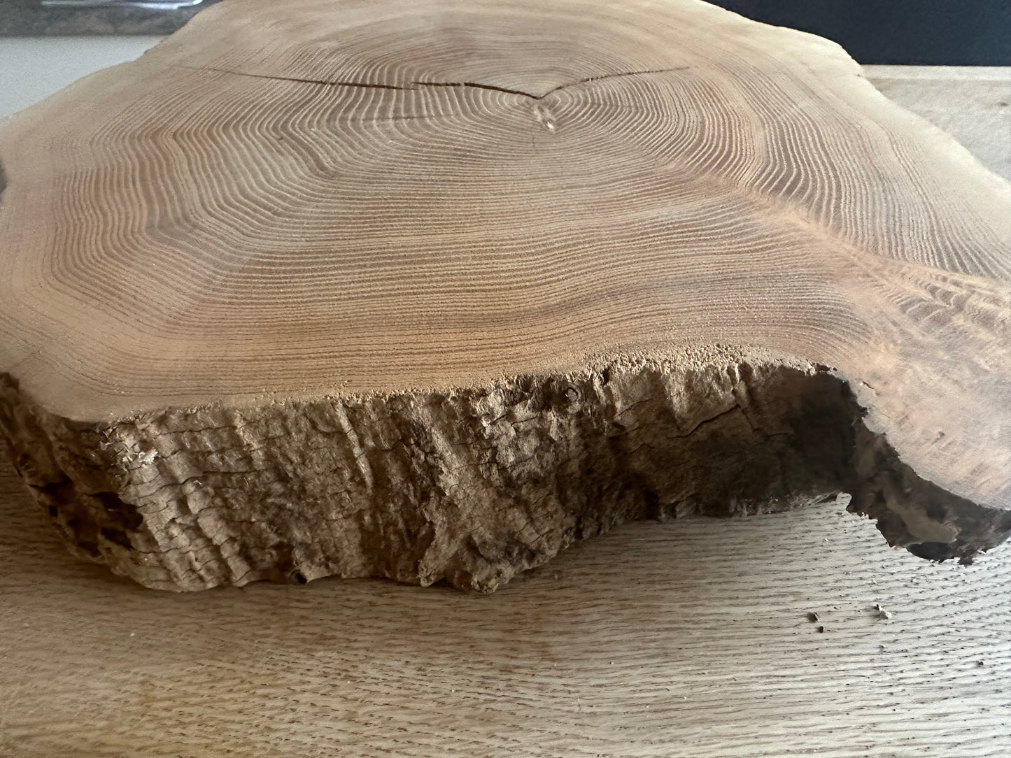 Baumscheibe Traumhaft Kiefer 350mm Durchmesser 60mm Stärke