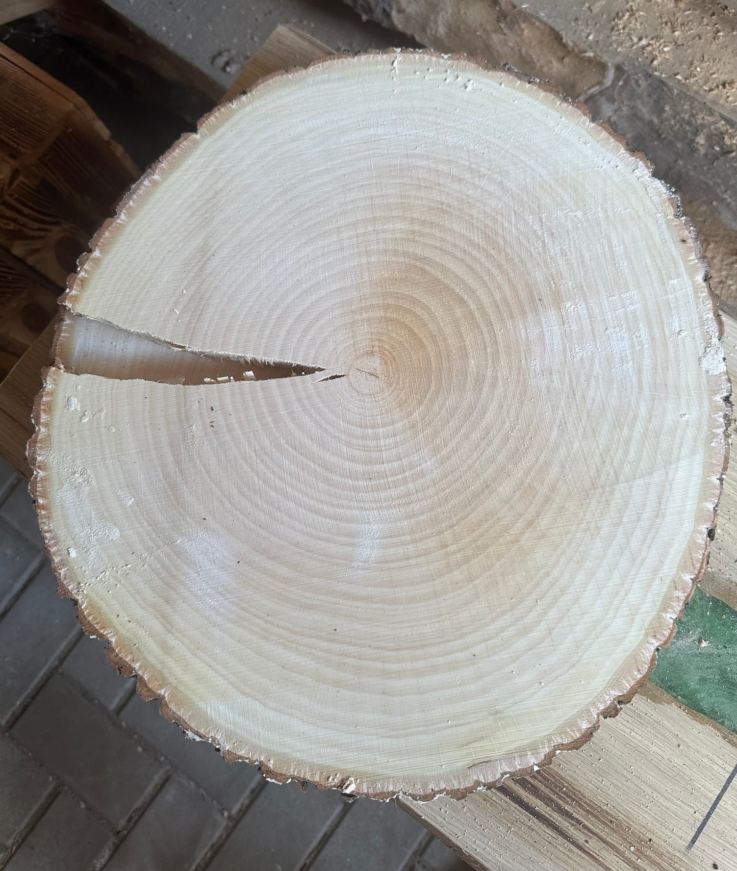 Traumhafte Baumscheiben Erle ca. 35-40cm Durchmesser 30mm Stärke