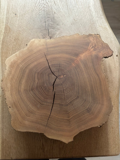 Baumscheibe Traumhaft Kiefer 350mm Durchmesser 60mm Stärke