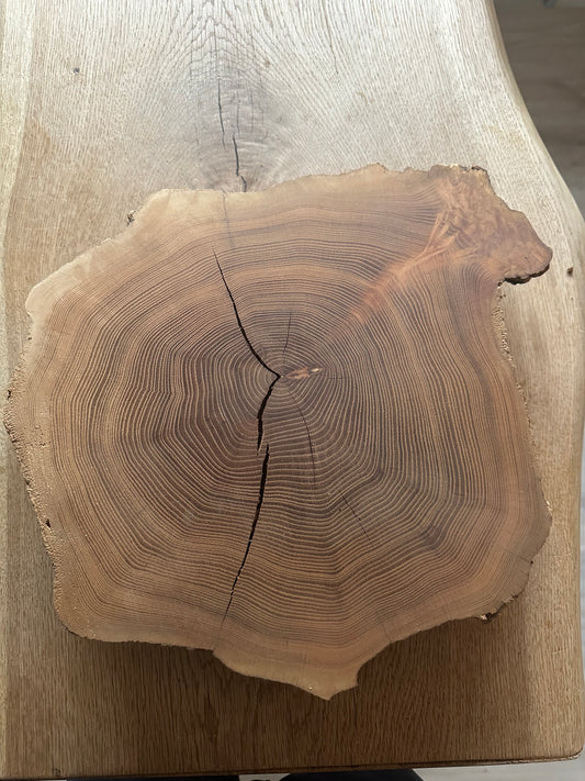 Baumscheibe Traumhaft Kiefer 350mm Durchmesser 60mm Stärke