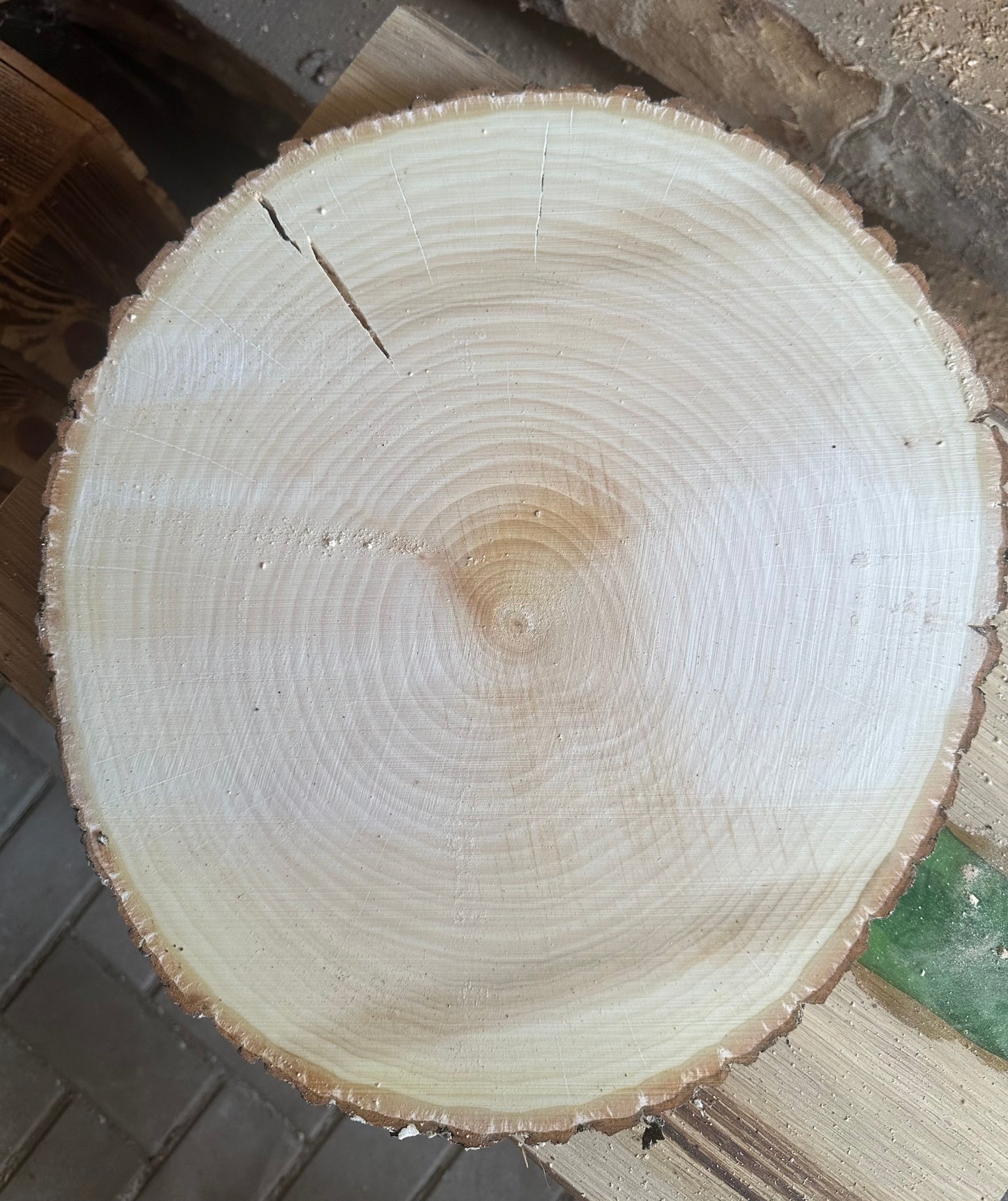 Traumhafte Baumscheiben Erle ca. 35-40cm Durchmesser 30mm Stärke
