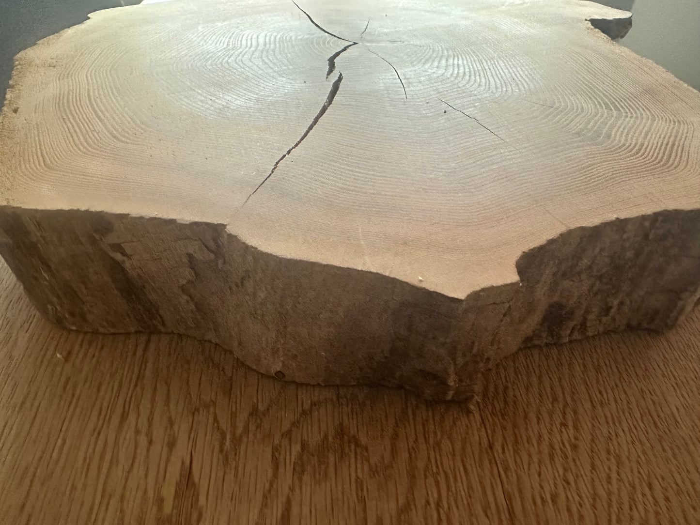 Baumscheibe Traumhaft Kiefer 350mm Durchmesser 60mm Stärke