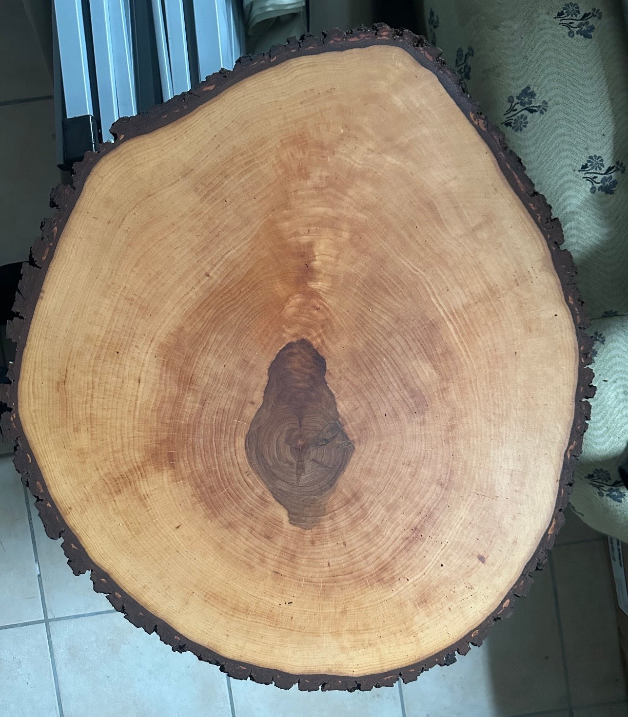 Rindenscheibe Baumscheibe Erle rund ca. 56 - 60 x 3 cm geölt