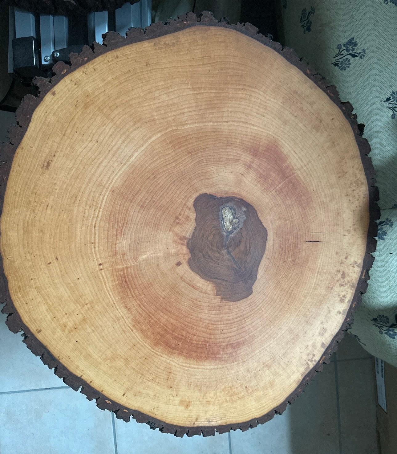 Rindenscheibe Baumscheibe Erle rund ca. 56 - 60 x 3 cm geölt