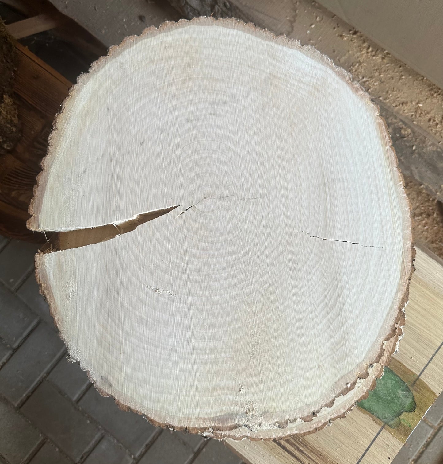 Traumhafte Baumscheiben Erle ca. 35-40cm Durchmesser 30mm Stärke