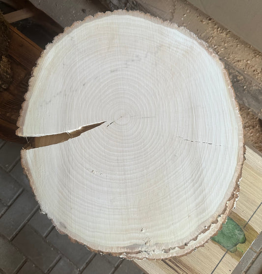 Traumhafte Baumscheiben Erle ca. 35-40cm Durchmesser 30mm Stärke