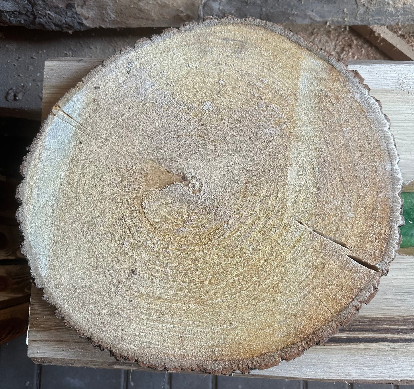 Traumhafte Baumscheiben Erle ca. 35-40cm Durchmesser 30mm Stärke