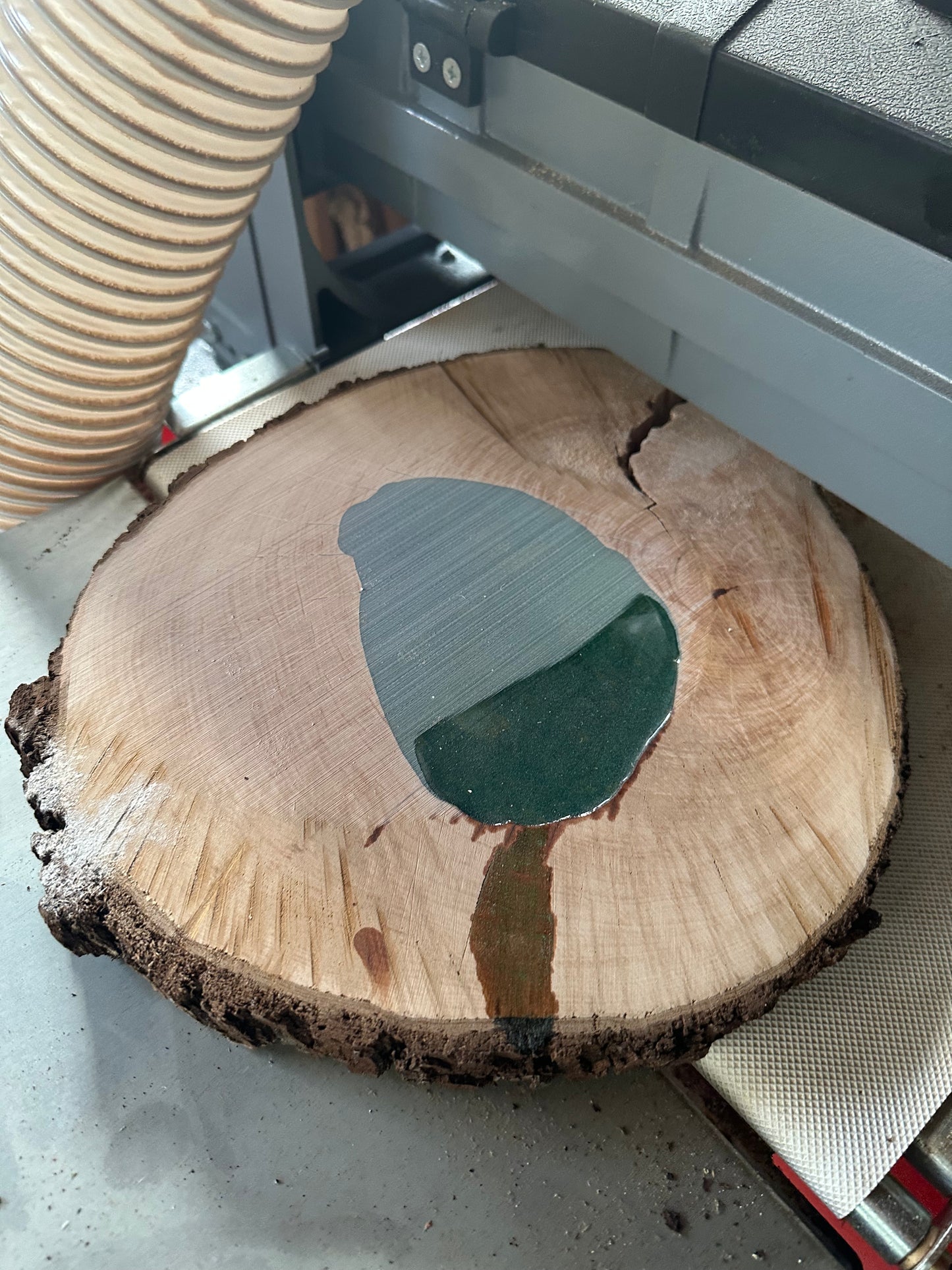 Baumscheibe massiv Traumhafte Eiche 280mm 30mm Stärke