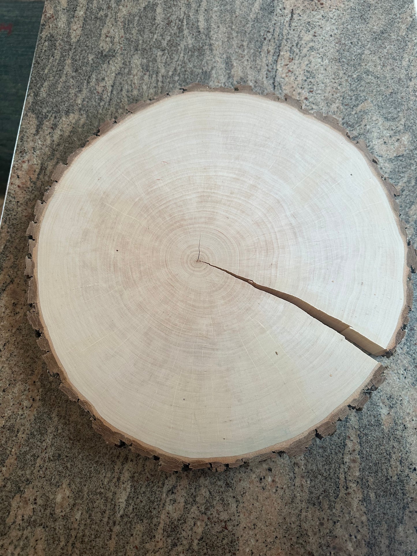 Baumscheibe aus Erle 40 - 46 x 3 cm - Rindenscheibe roh