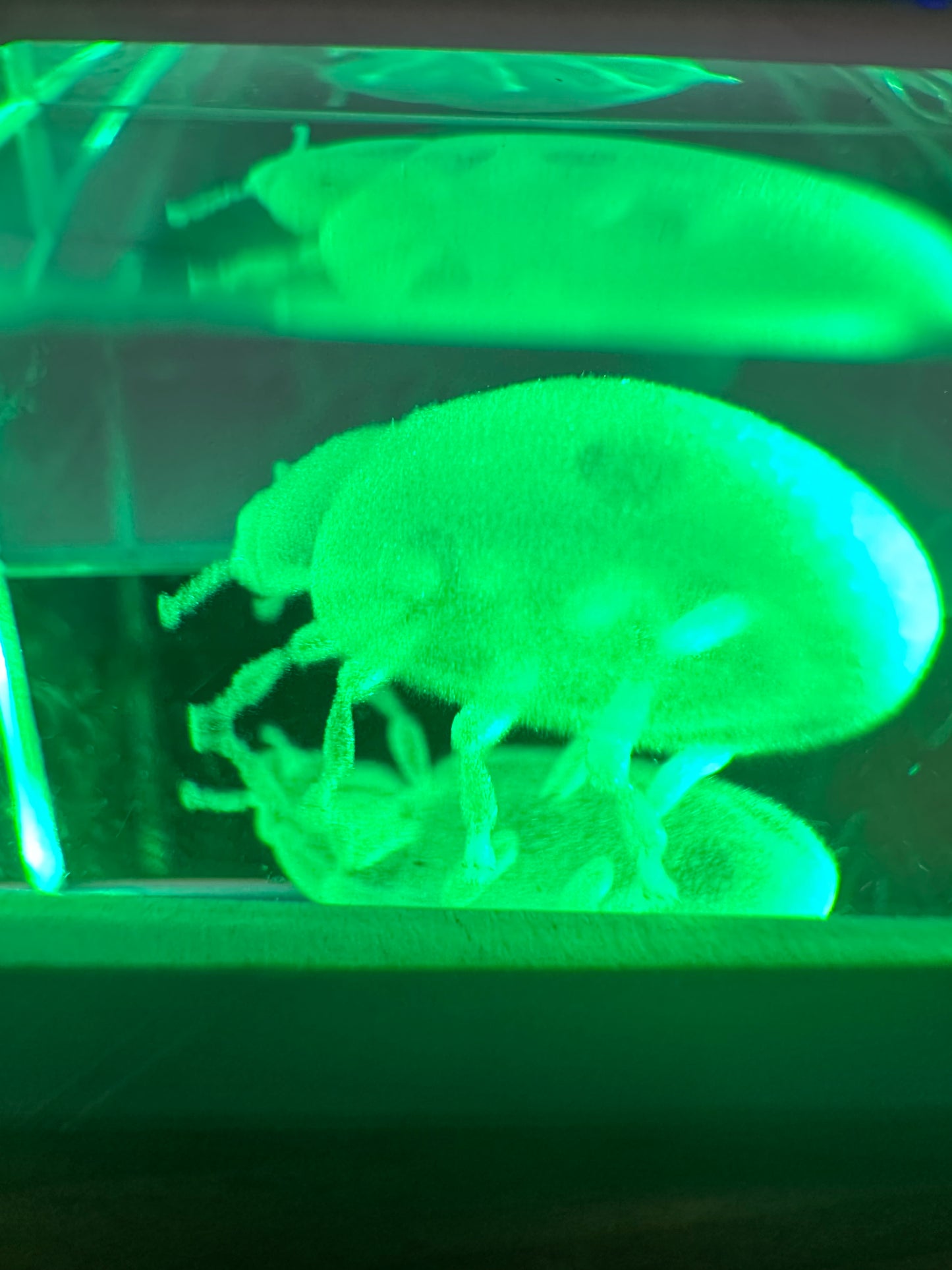 K5 Kristall-Schlüsselanhänger rechteckig mit mehrfarbigen LED-Lichtern | 30 x 20 x 15 mm
